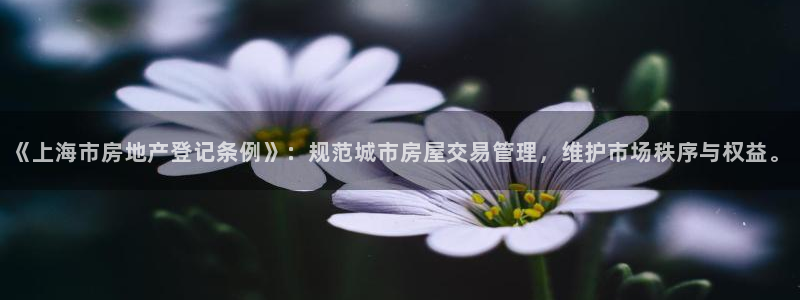 香港和记电讯官网：《上海市房地产登记条例》：规范城市房屋交易