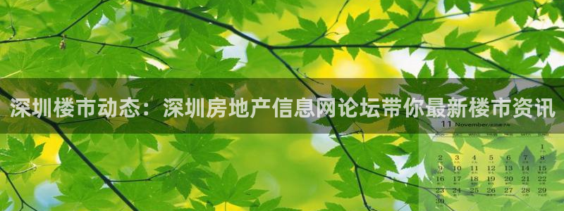 和记黄埔集团官网：深圳楼市动态：深圳房地产信息网论坛带你最新
