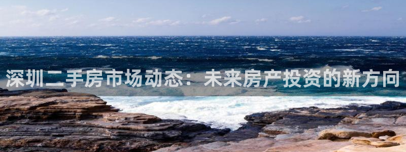 和记官网平台入口：深圳二手房市场动态：未来房产投资的新方向
