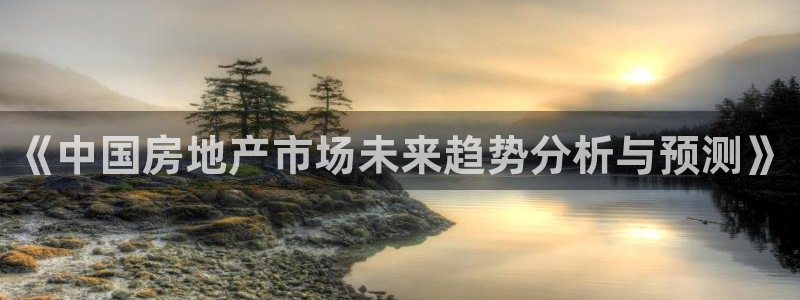 和记官网手机版下载：《中国房地产市场未来趋势分析与预测》