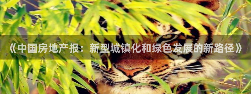和记卡官网：《中国房地产报：新型城镇化和绿色发展的新路径》