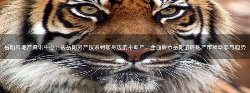 和记日化官网：岳阳房地产资讯中心：从岳阳房产搜索到您身边的不