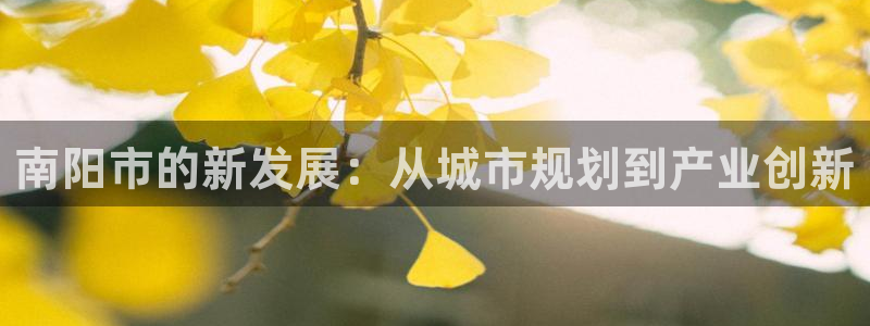 和黄记官网：南阳市的新发展：从城市规划到产业创新
