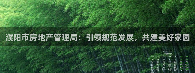 和记备用官网：濮阳市房地产管理局：引领规范发展，共建美好家园