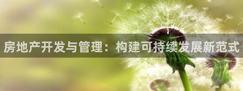 澳门和记平台官网：房地产开发与管理：构建可持续发展新范式
