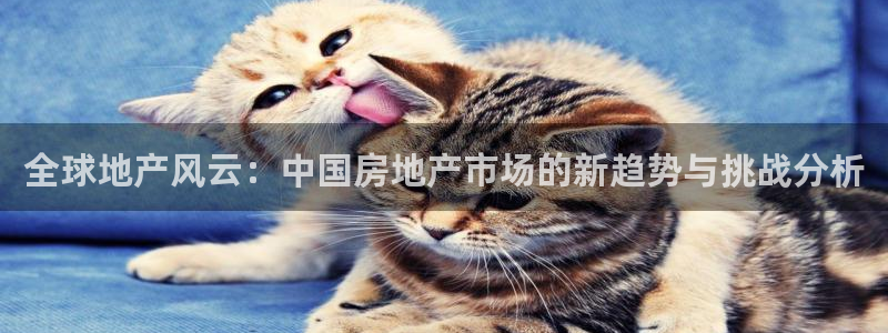 和记188官网：全球地产风云：中国房地产市场的新趋势与挑战分