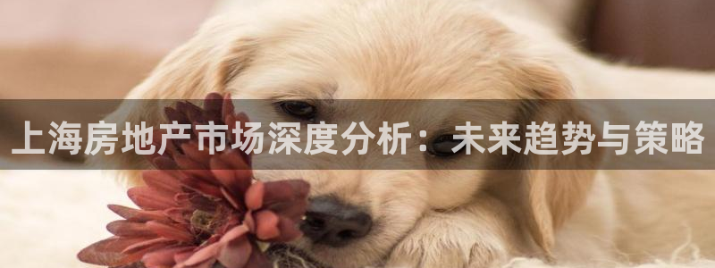 和记黄埔药业官网：上海房地产市场深度分析：未来趋势与策略