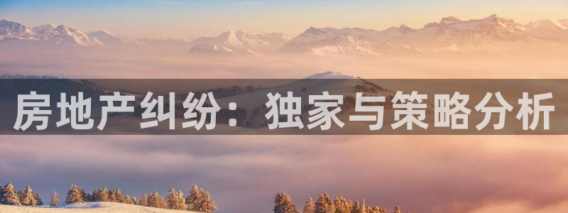 胡和记面官网：房地产纠纷：独家与策略分析
