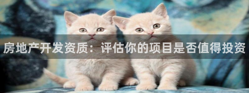 和记官网h88：房地产开发资质：评估你的项目是否值得投资