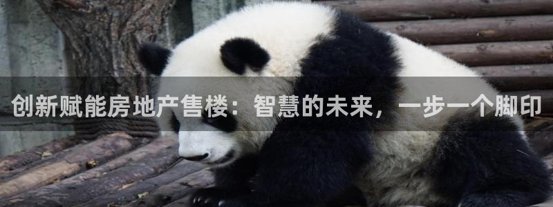 hgc和记官网：创新赋能房地产售楼：智慧的未来，一步一个脚印