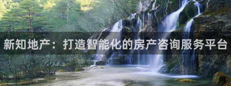 和记火爆官网：新知地产：打造智能化的房产咨询服务平台