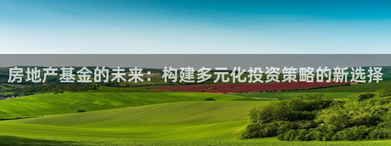 和记黄埔m 官网：房地产基金的未来：构建多元化投资策略的新选