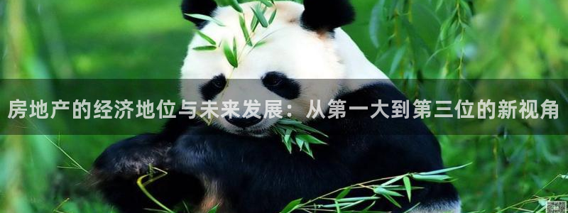 和黄记官网：房地产的经济地位与未来发展：从第一大到第三位的新