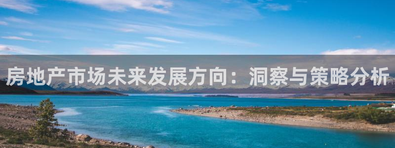 和兴记官网：房地产市场未来发展方向：洞察与策略分析