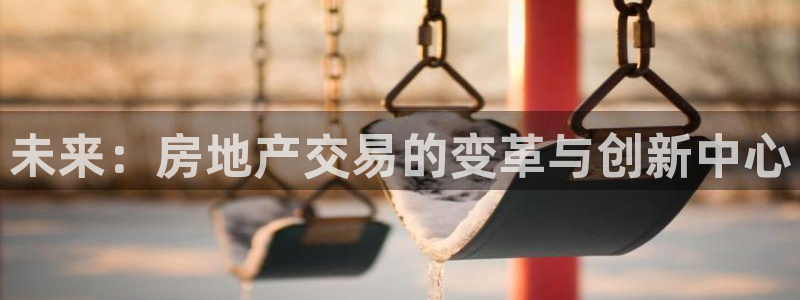 和记电官网：未来：房地产交易的变革与创新中心