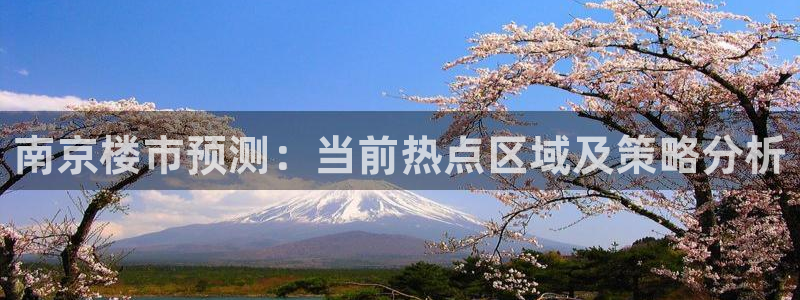 和记混凝土官网：南京楼市预测：当前热点区域及策略分析