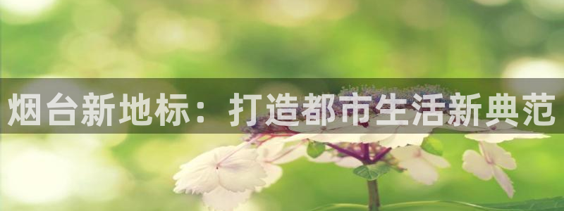 和记官网是一个什么平台：烟台新地标：打造都市生活新典范
