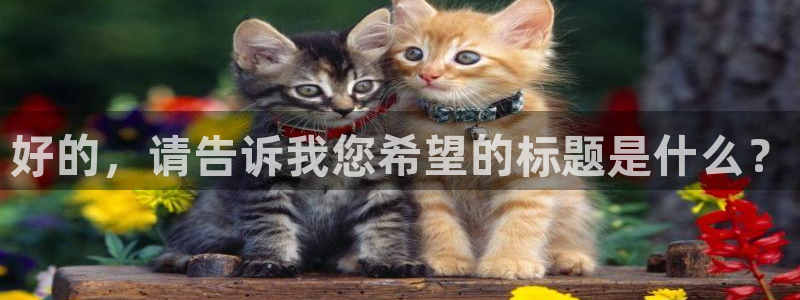 和记火爆官网：好的，请告诉我您希望的标题是什么？