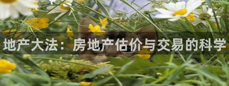 菲律宾和记官网：地产大法：房地产估价与交易的科学