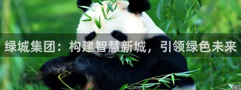 和黄记官网：绿城集团：构建智慧新城，引领绿色未来