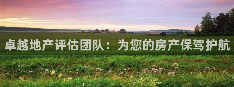 和记茶餐厅官网：卓越地产评估团队：为您的房产保驾护航
