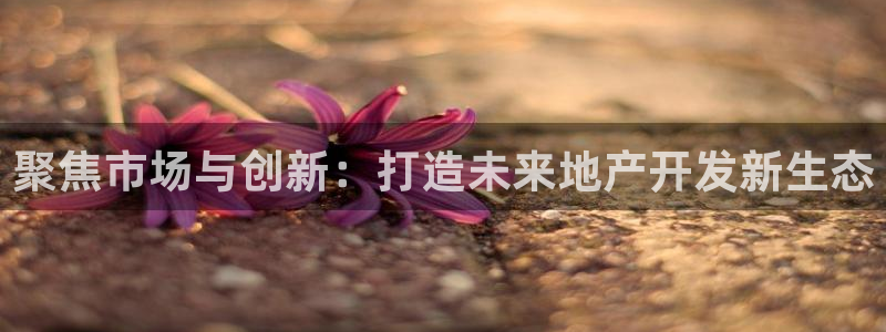 和记娱精湛h88285官网：聚焦市场与创新：打造未来地产开发