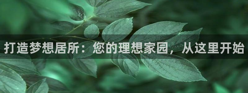 3和记电讯官网：打造梦想居所：您的理想家园，从这里开始