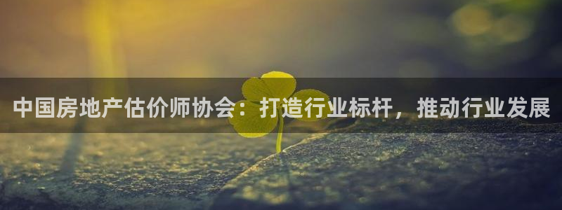 香港和记3台官网：中国房地产估价师协会：打造行业标杆，推动行