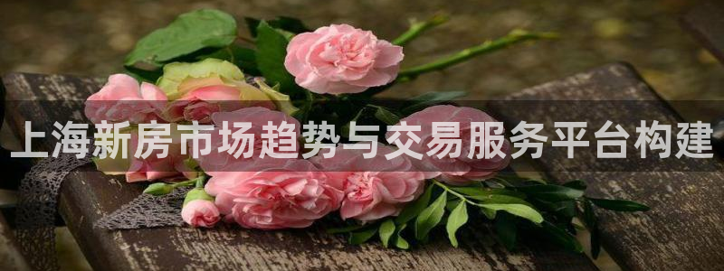 和记3hk官网：上海新房市场趋势与交易服务平台构建