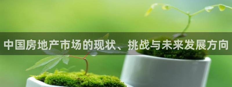 和记官网地址：中国房地产市场的现状、挑战与未来发展方向