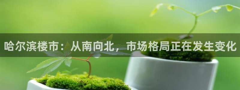 香港和记隆官网