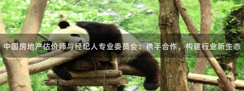 成都和记黄埔官网