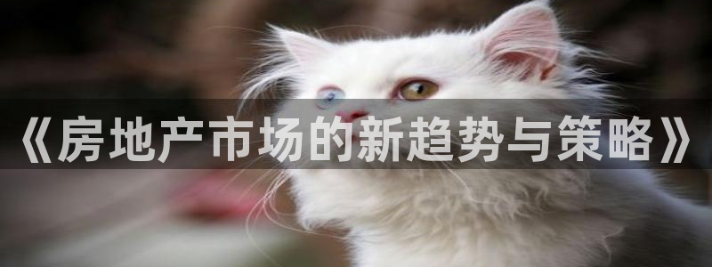和记娱乐怡情博娱官网：《房地产市场的新趋势与策略》