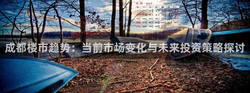 和记app官网：成都楼市趋势：当前市场变化与未来投资策略探讨