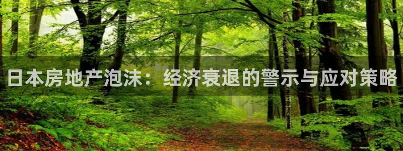 和记app官网：日本房地产泡沫：经济衰退的警示与应对策略