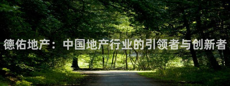 和记官网登录：德佑地产：中国地产行业的引领者与创新者