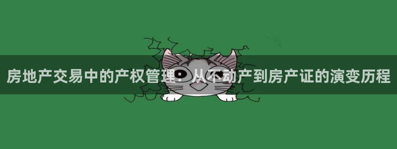和记娱乐旗舰官网：房地产交易中的产权管理：从不动产到房产证的