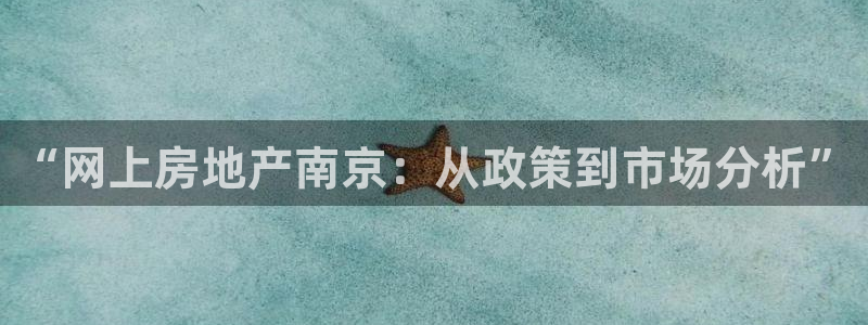 和记娱乐 官网：“网上房地产南京：从政策到市场分析”