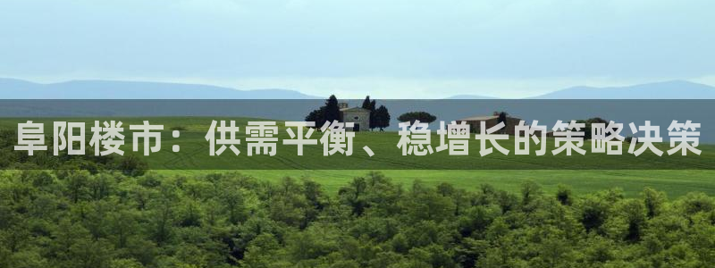 和记官网客户端：阜阳楼市：供需平衡、稳增长的策略决策