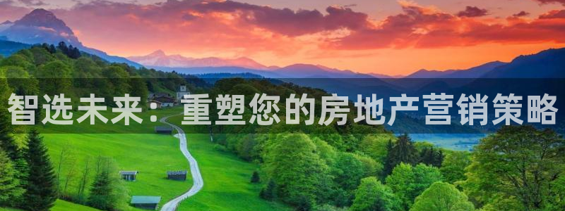 和记娱乐首页官网：智选未来：重塑您的房地产营销策略