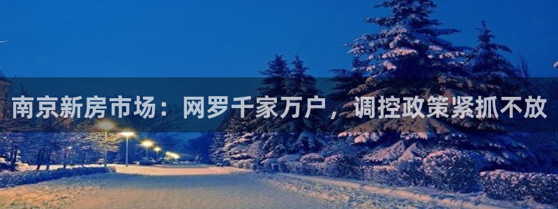 和记备用官网：南京新房市场：网罗千家万户，调控政策紧抓不放