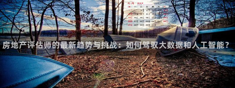 和记黄埔集团官网：房地产评估师的最新趋势与挑战：如何驾驭大数