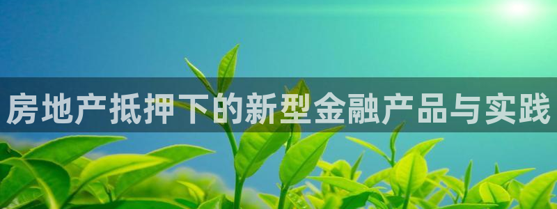 和记app官网：房地产抵押下的新型金融产品与实践