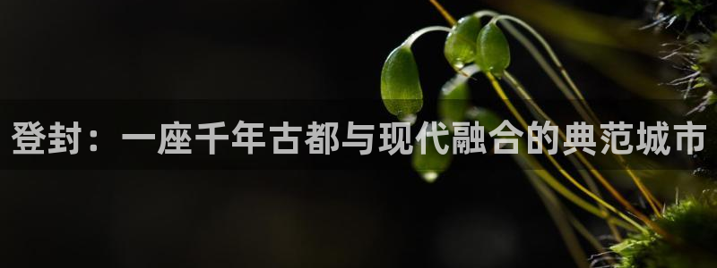 和记h188怡情官网：登封：一座千年古都与现代融合的典范城市