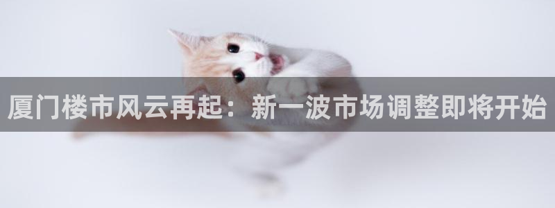 和记娱精湛h88285官网：厦门楼市风云再起：新一波市场调整