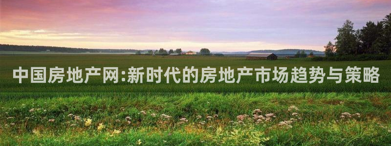 和记娱真好h88285官网：中国房地产网:新时代的房地产市场