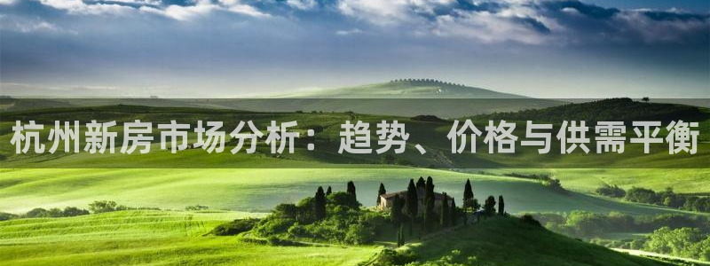 和记官网app是谁的：杭州新房市场分析：趋势、价格与供需平衡