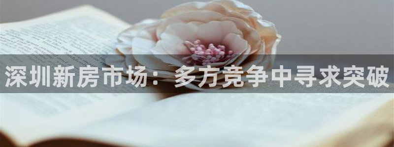 和记旗舰官网：深圳新房市场：多方竞争中寻求突破