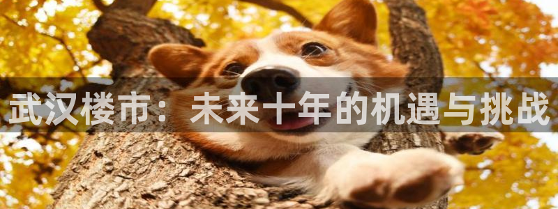 和记手游官网：武汉楼市：未来十年的机遇与挑战