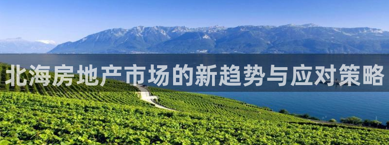 缅甸和记官网：北海房地产市场的新趋势与应对策略